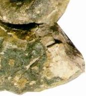 Il massiccio del Monte Nerone