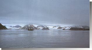 fauna Isola di  Svalbard